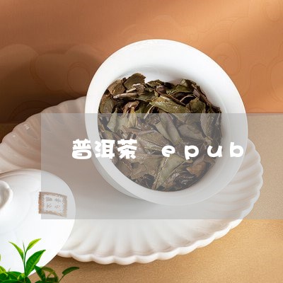 普洱茶 epub/2023031777202